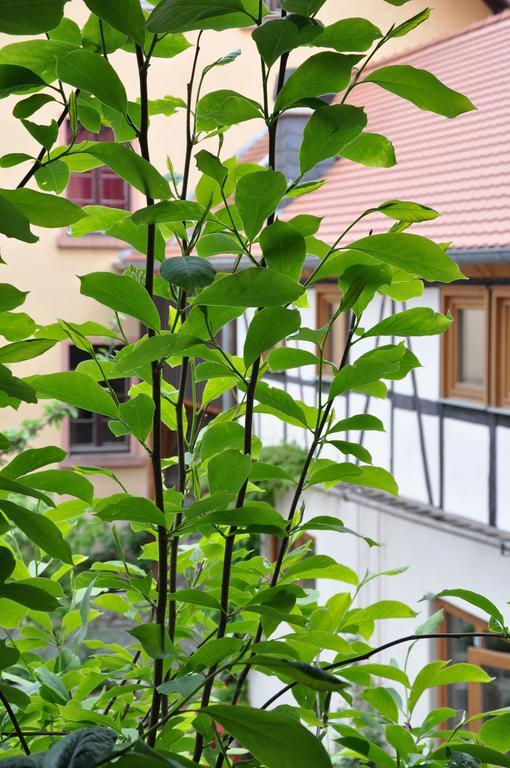 Gastezimmer Am Hof Frankfurt am Main Dış mekan fotoğraf